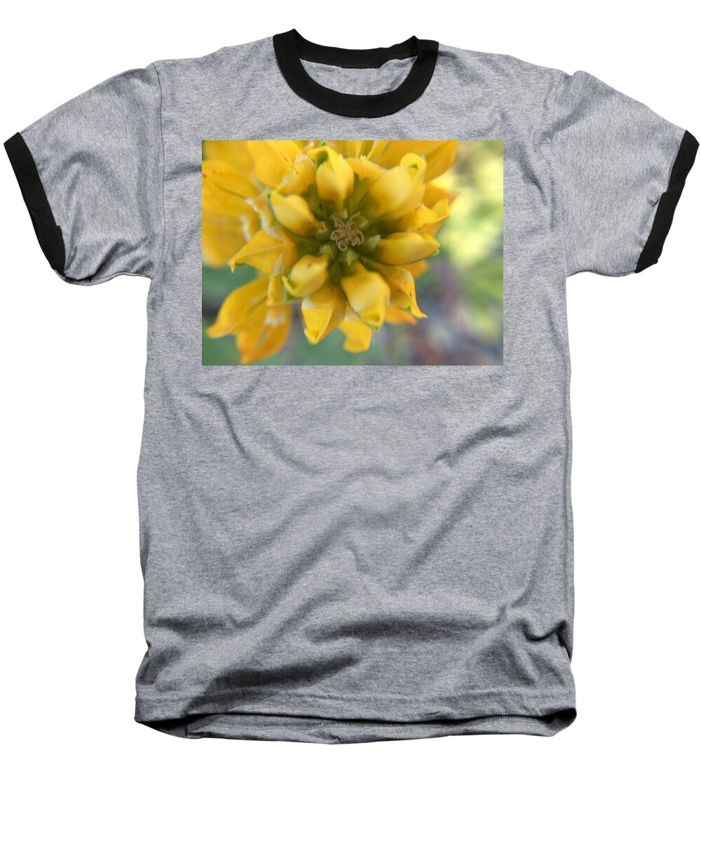 Yellow Rose Baseball T-Shirt featuring the photograph Dreamy Yellow Rose by Vivian Aumond
