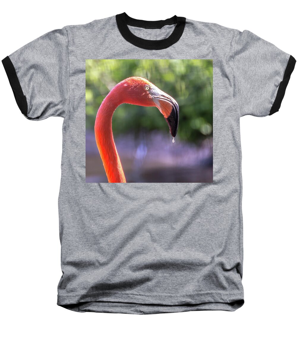 Zoo Baseball T-Shirt featuring the photograph Dripping flamingo by Robert Miller