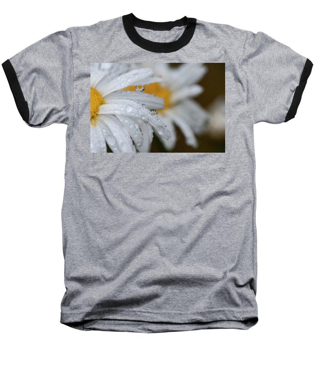 Astoria Baseball T-Shirt featuring the photograph Drizzle on Shasta Daisies by Robert Potts