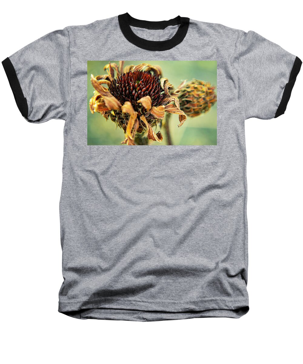 Drought Baseball T-Shirt featuring the photograph Drought Coneflower by Jame Hayes
