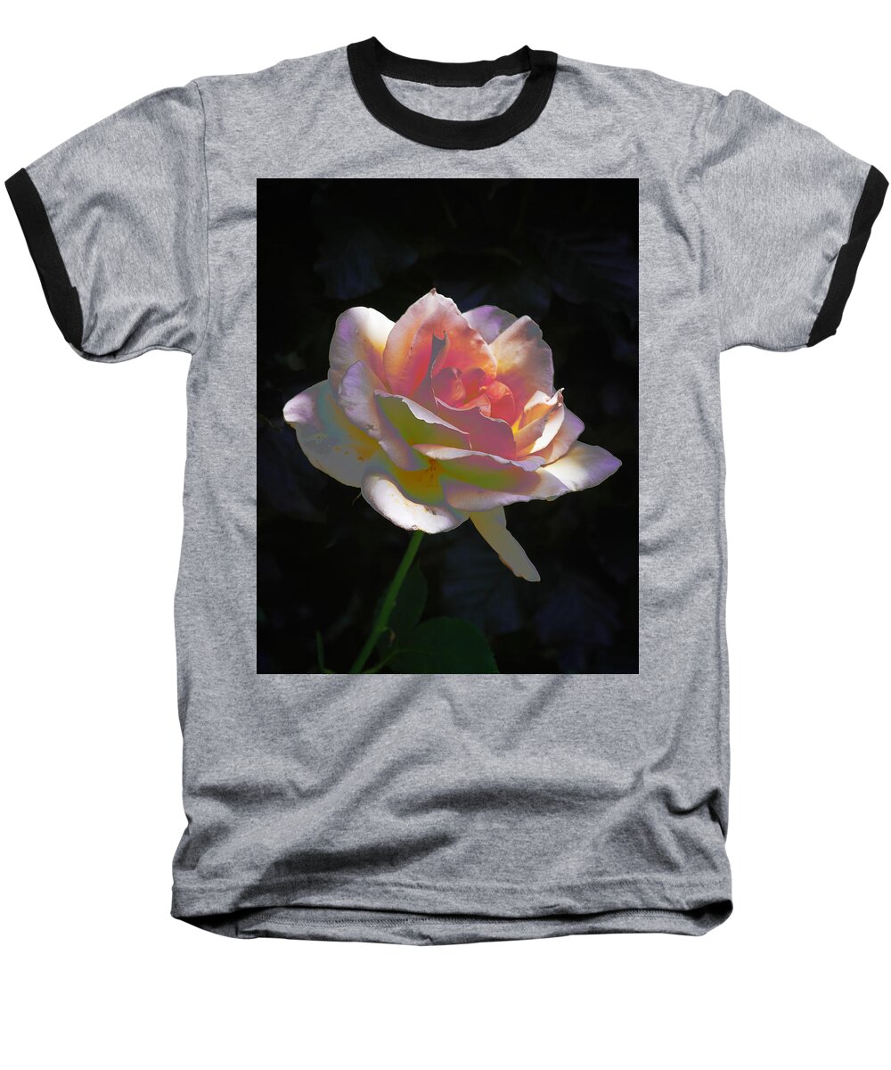 Easter Rose Baseball T-Shirt featuring the digital art Easter Rose by Don Wright