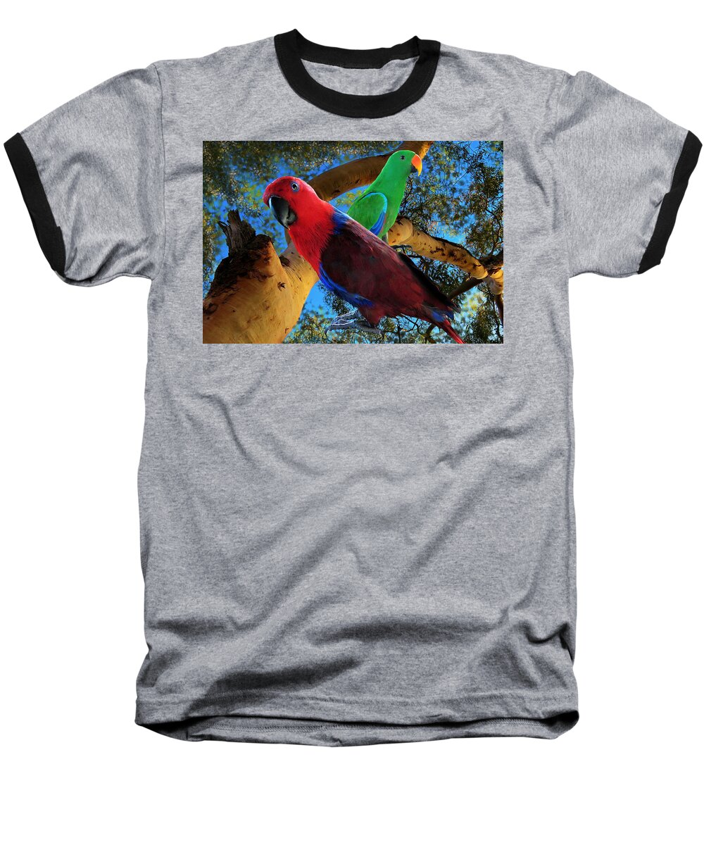 Eclectus Parrot Baseball T-Shirt featuring the mixed media Eclectus Parrots by Joan Stratton