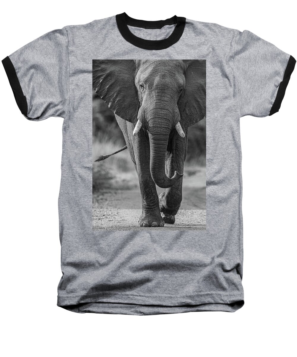 Africa Baseball T-Shirt featuring the photograph Elephant in black and white by Johan Elzenga