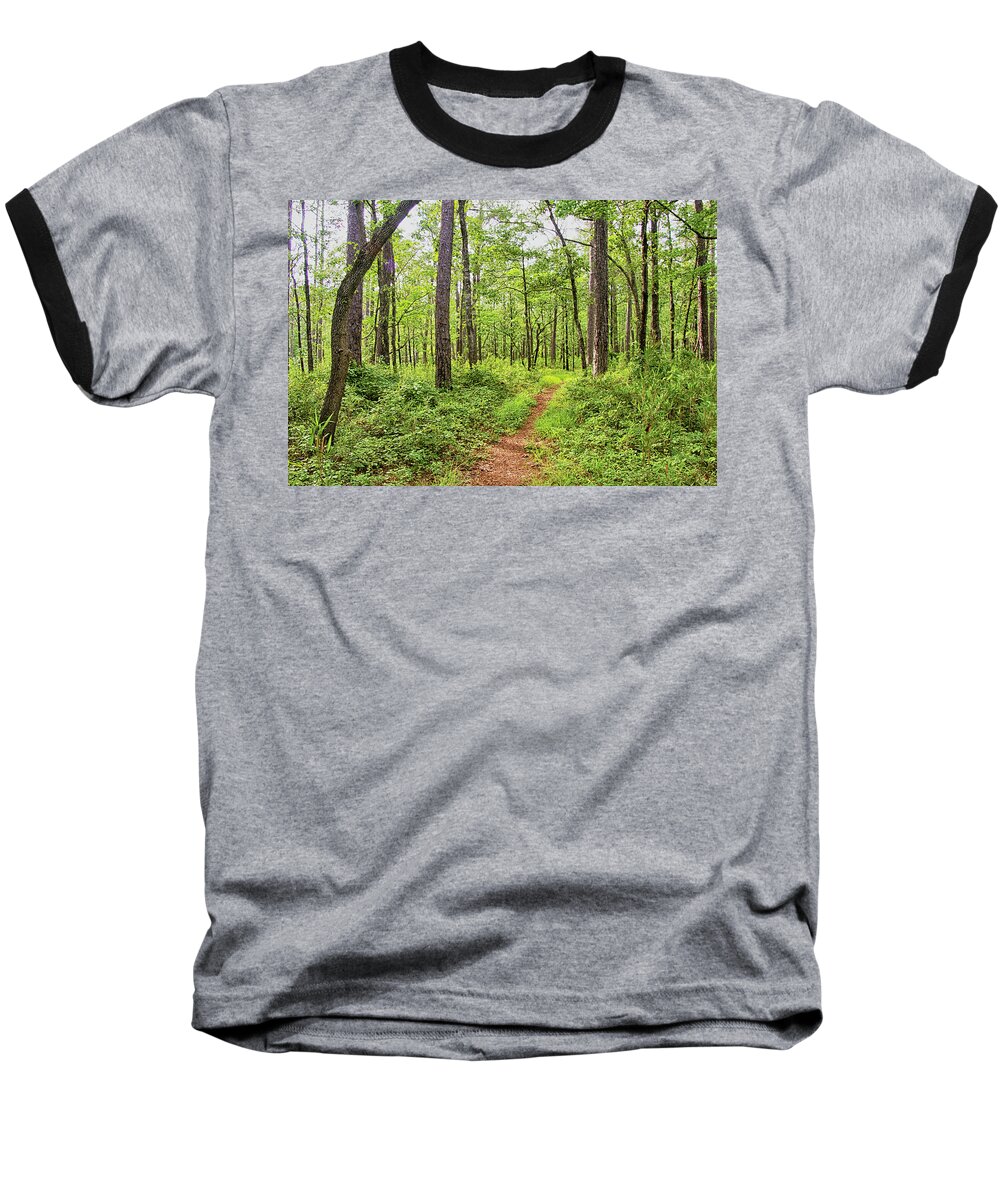 Forest Baseball T-Shirt featuring the photograph Evening Light on the Neusiok Trail by Bob Decker