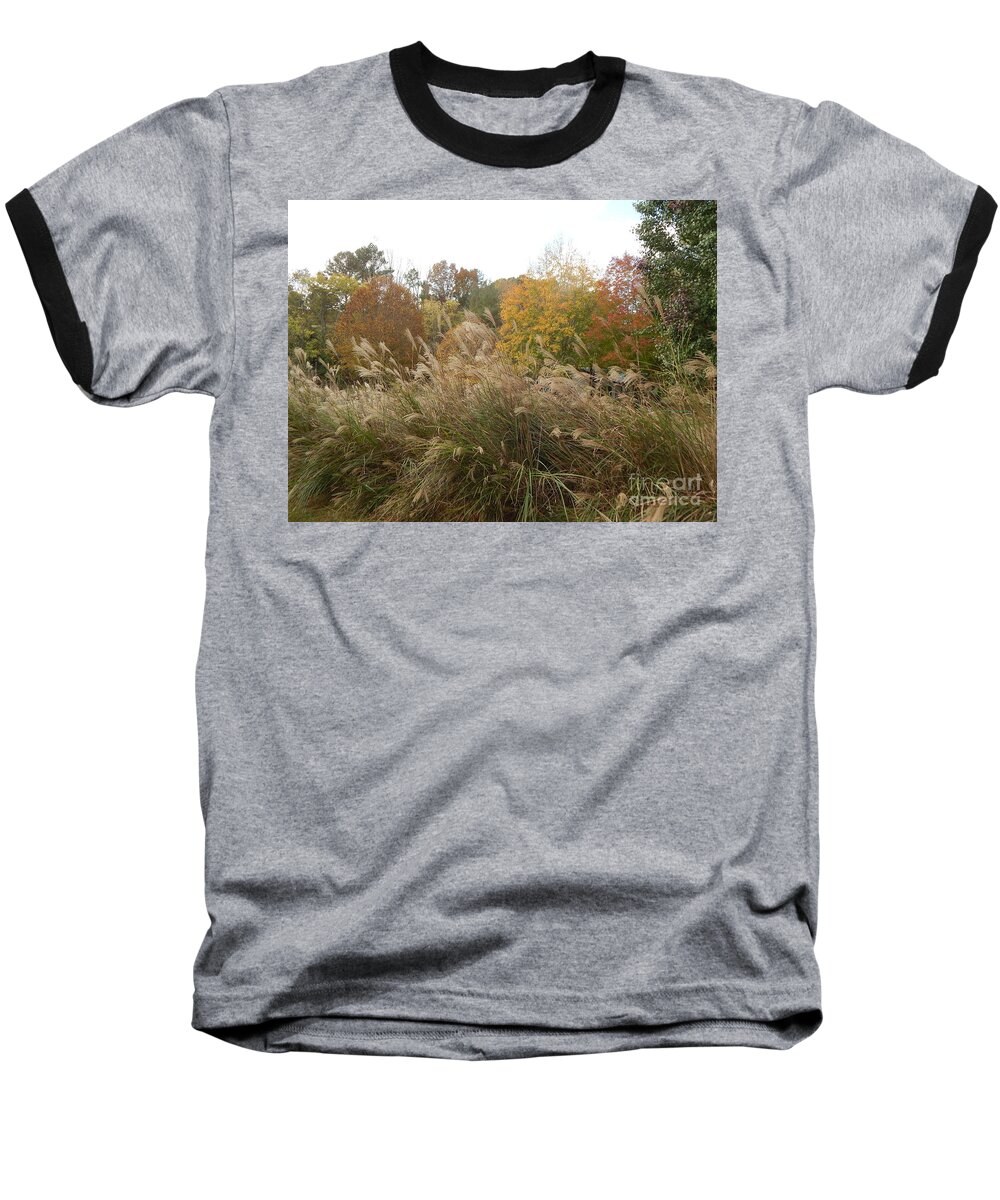 Outdoors Baseball T-Shirt featuring the photograph Fall Colors by Chris Tarpening