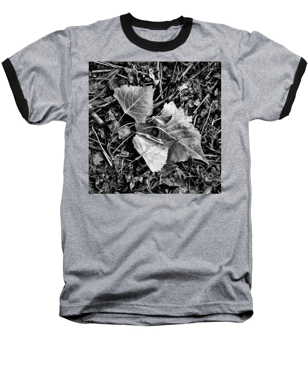 Leaves Baseball T-Shirt featuring the photograph Fallen Leaves by Monte Stevens