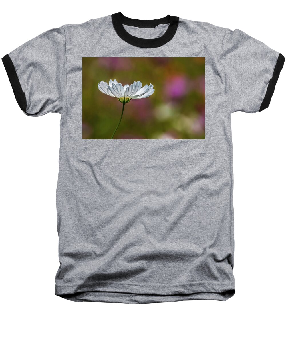 Wildflower Baseball T-Shirt featuring the photograph Field of Wildflowers by Skip Tribby