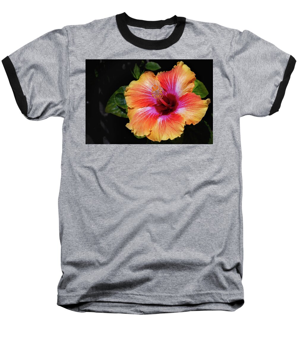 Flowers & Plants Baseball T-Shirt featuring the photograph Fiesta Hibiscus by Adam Johnson