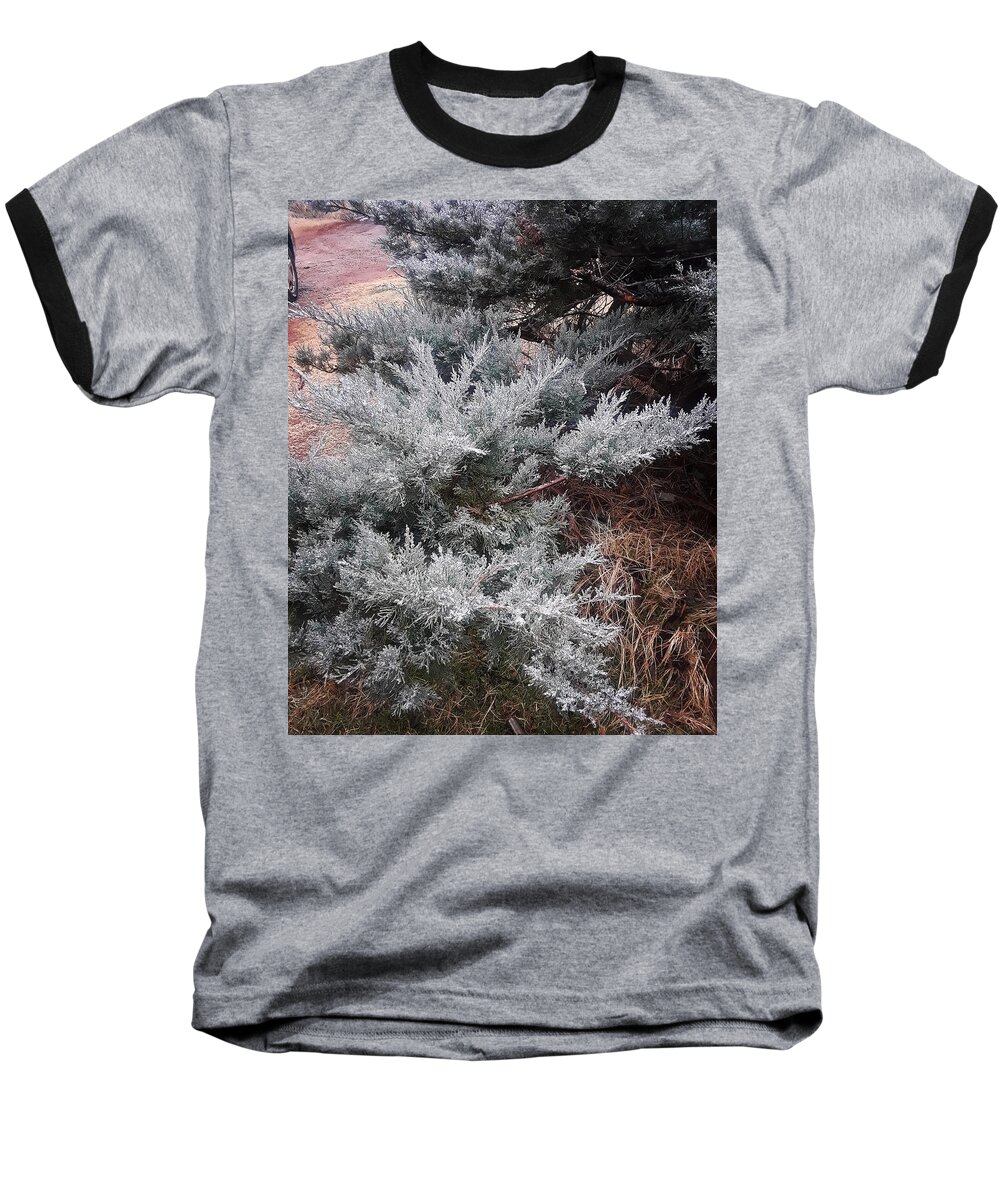Scenery Baseball T-Shirt featuring the photograph First Frost by Ariana Torralba
