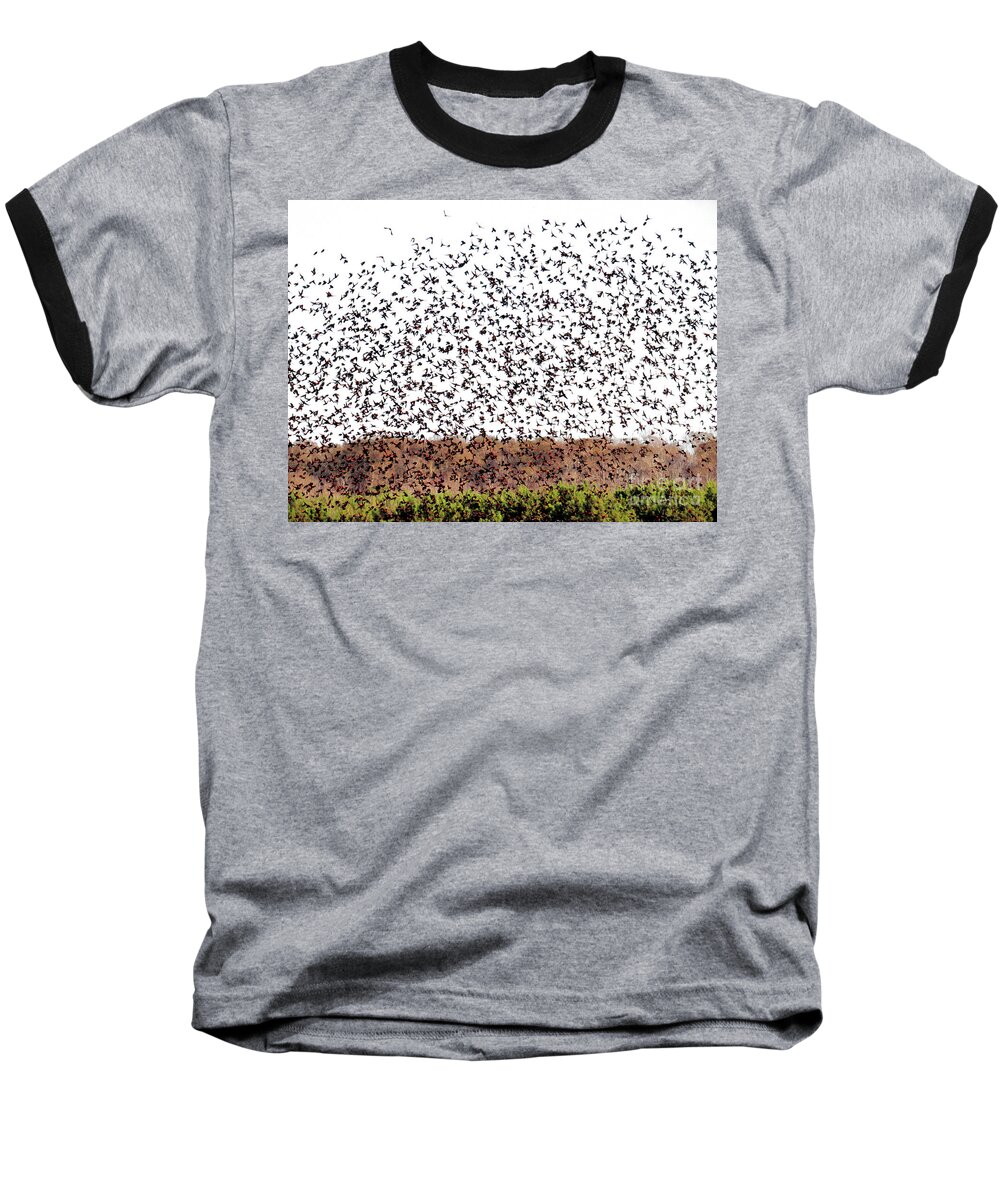 Red-winged Baseball T-Shirt featuring the photograph Five Hundred Blackbirds by Scott Cameron