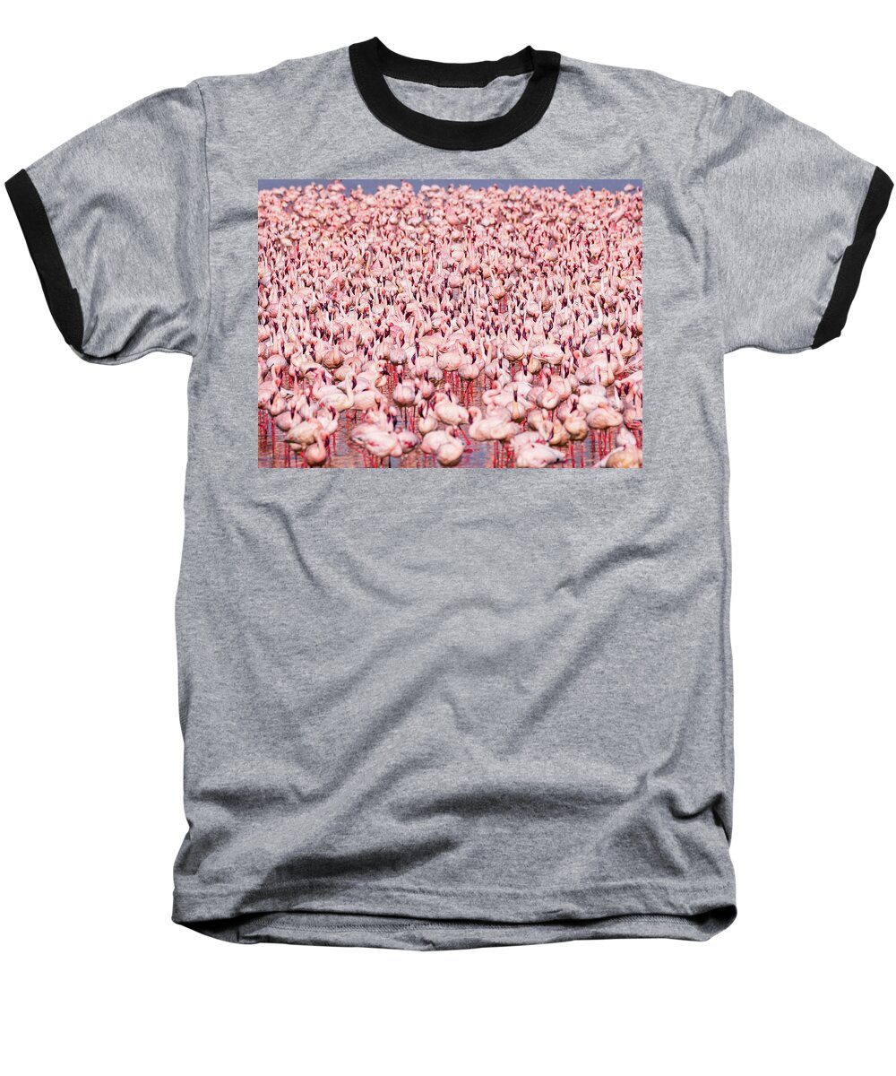 Africa Baseball T-Shirt featuring the photograph Flamingoes on Alert by Joe Doherty