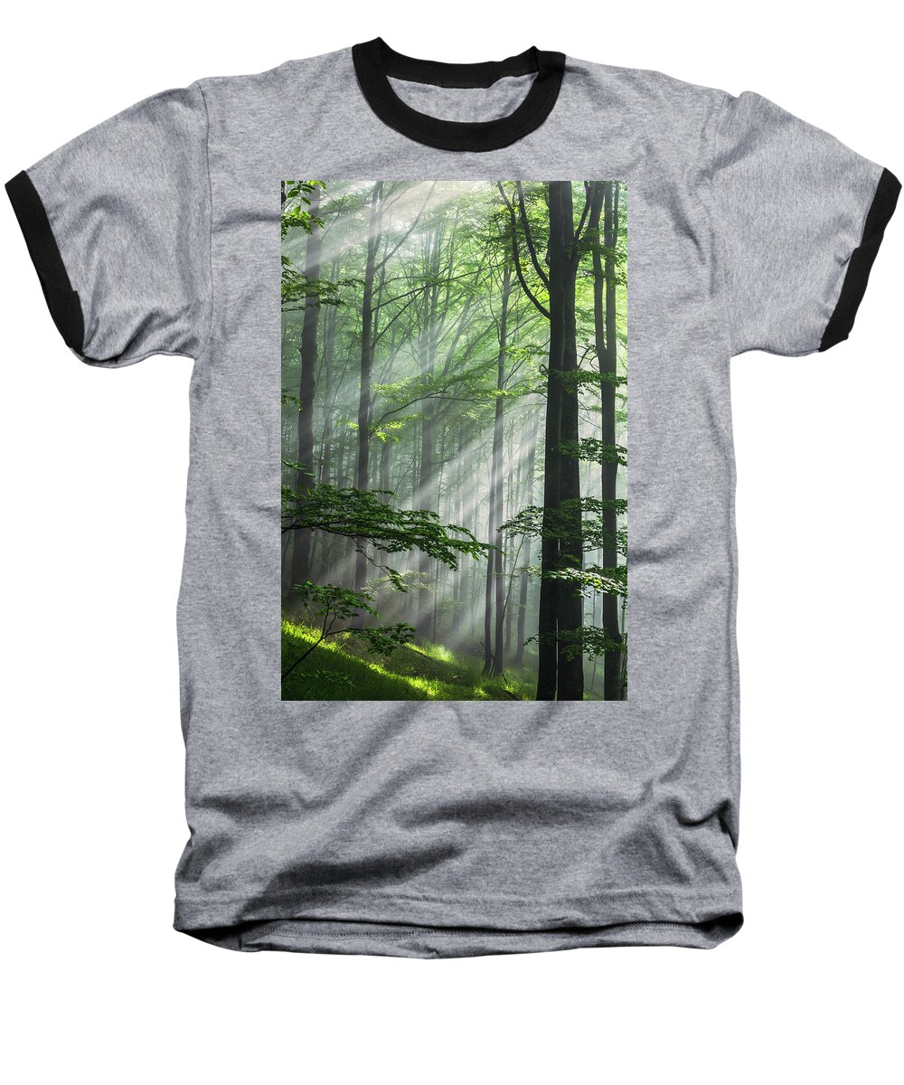 Fog Baseball T-Shirt featuring the photograph Fleeting Beams by Evgeni Dinev