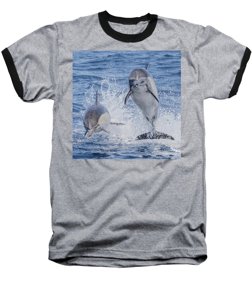 Dana Wharf Baseball T-Shirt featuring the photograph Flying Dolphin Friends by Loriannah Hespe