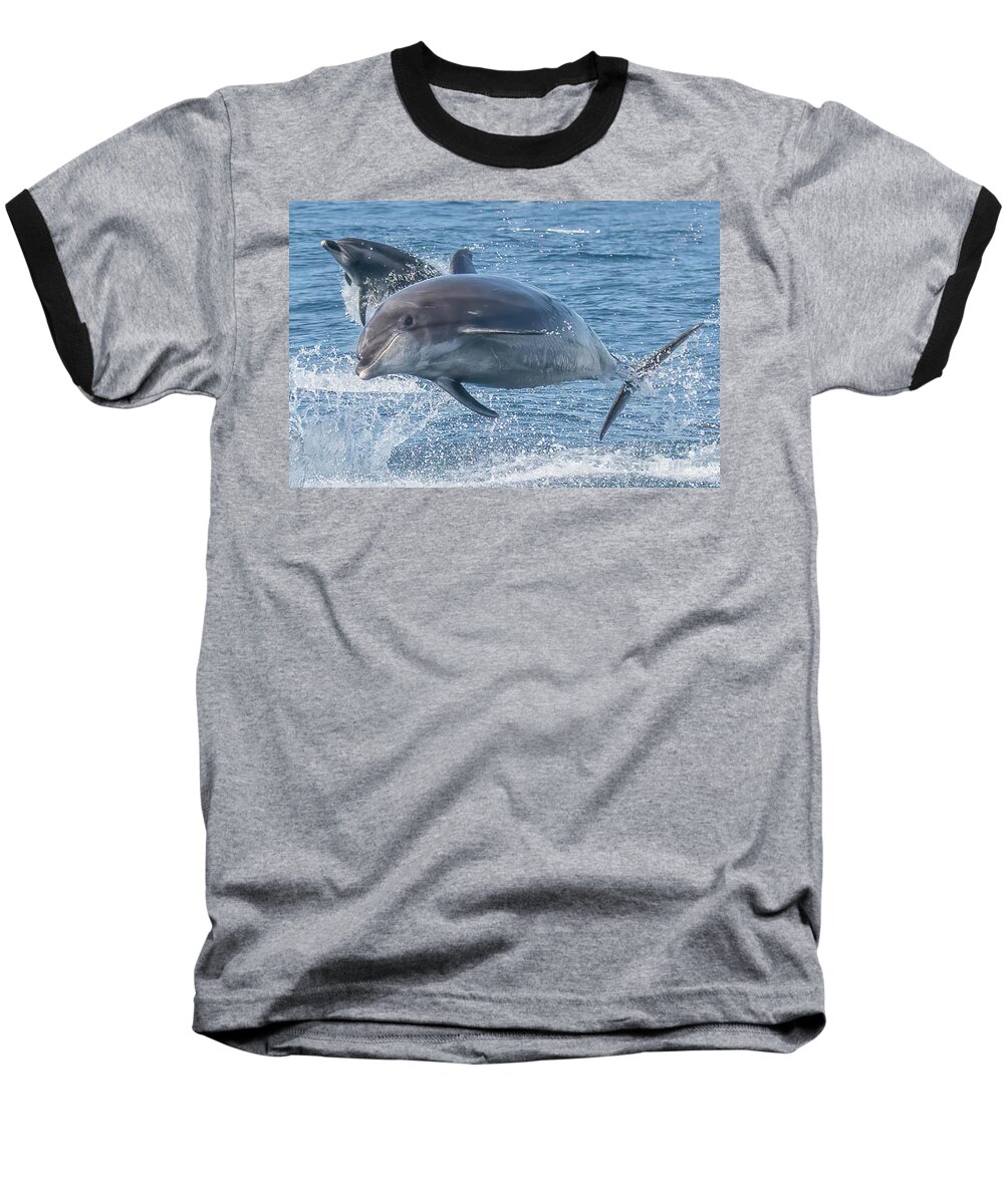  Baseball T-Shirt featuring the photograph Flying Dolphins by Loriannah Hespe