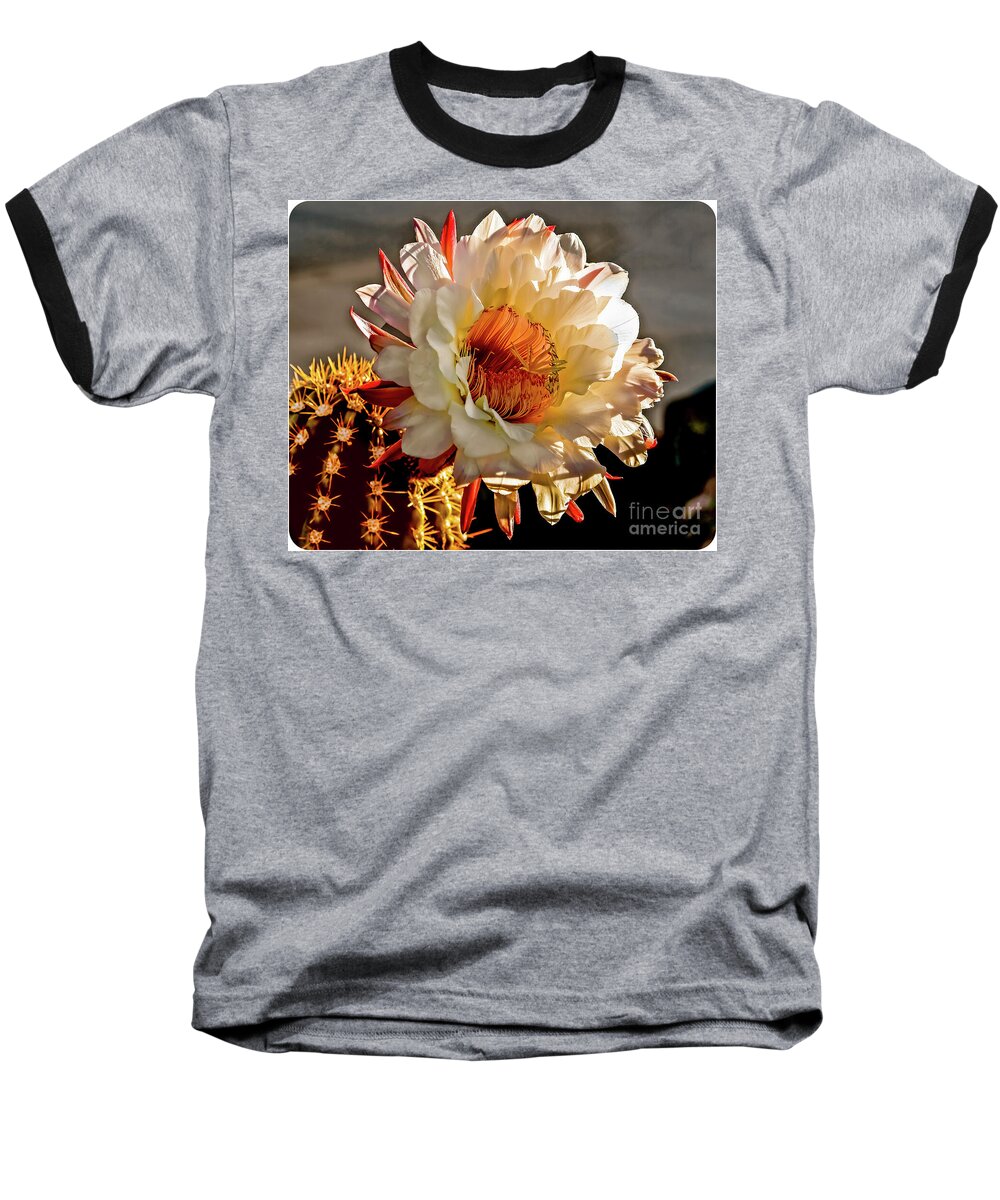 Argentine Giant Baseball T-Shirt featuring the photograph Framed Flowing Cactus by Robert Bales