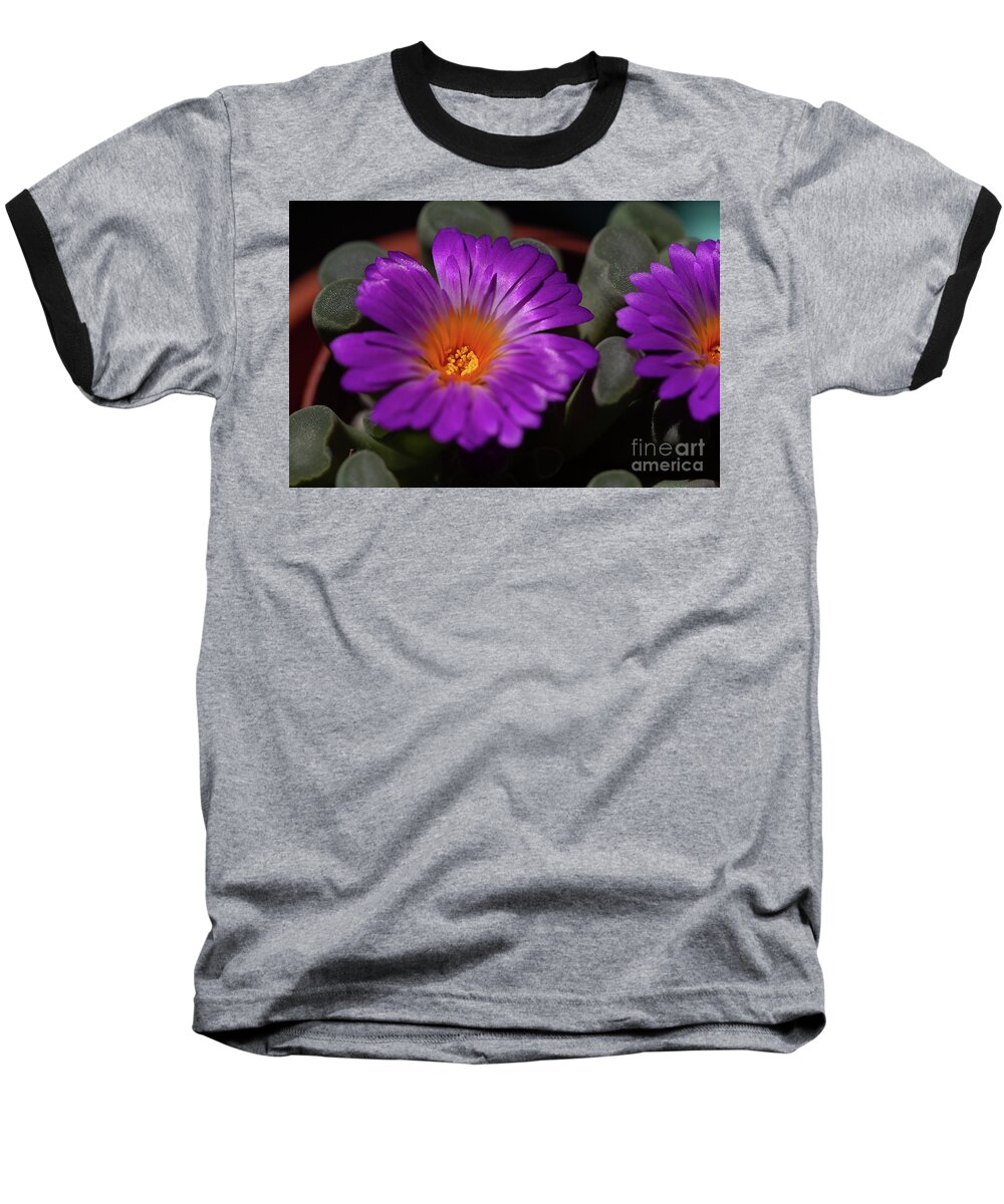 Flower Baseball T-Shirt featuring the photograph Frithia Pulchra by Eva Lechner