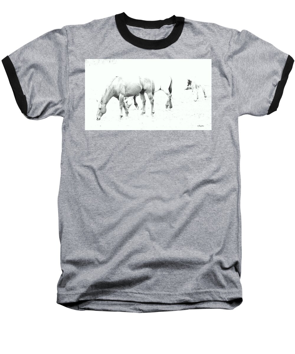 Horses Baseball T-Shirt featuring the photograph Ghost Horses by Tracey Vivar