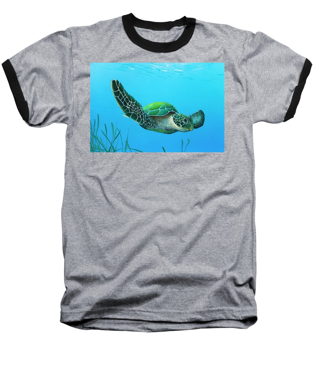 Sea Turtle Baseball T-Shirt featuring the painting Gliding by Mike Brown