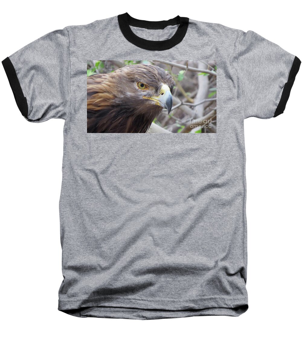 Striking Baseball T-Shirt featuring the photograph Golden Eye by Mary Mikawoz