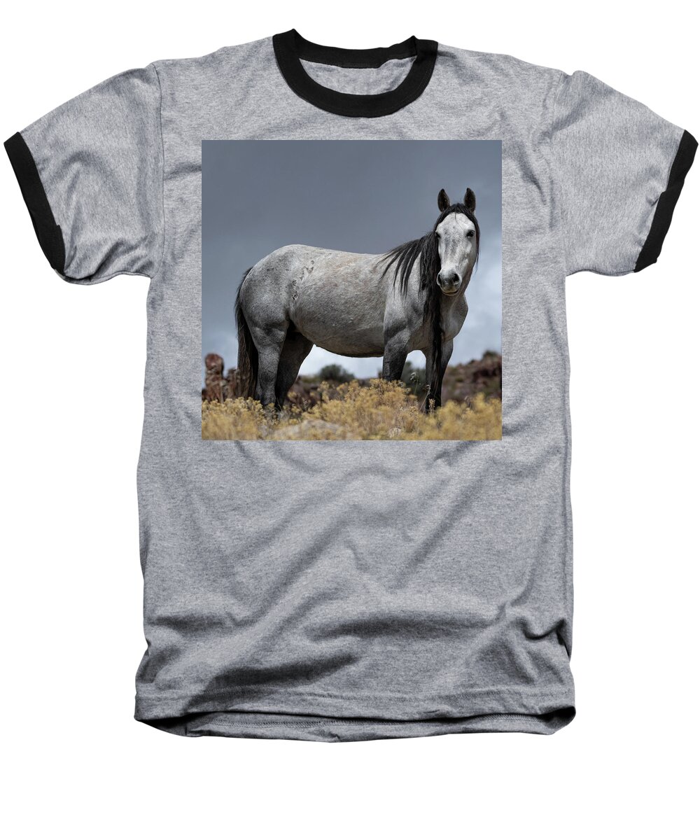 Wild Horse Baseball T-Shirt featuring the photograph Gray Mare by Mary Hone