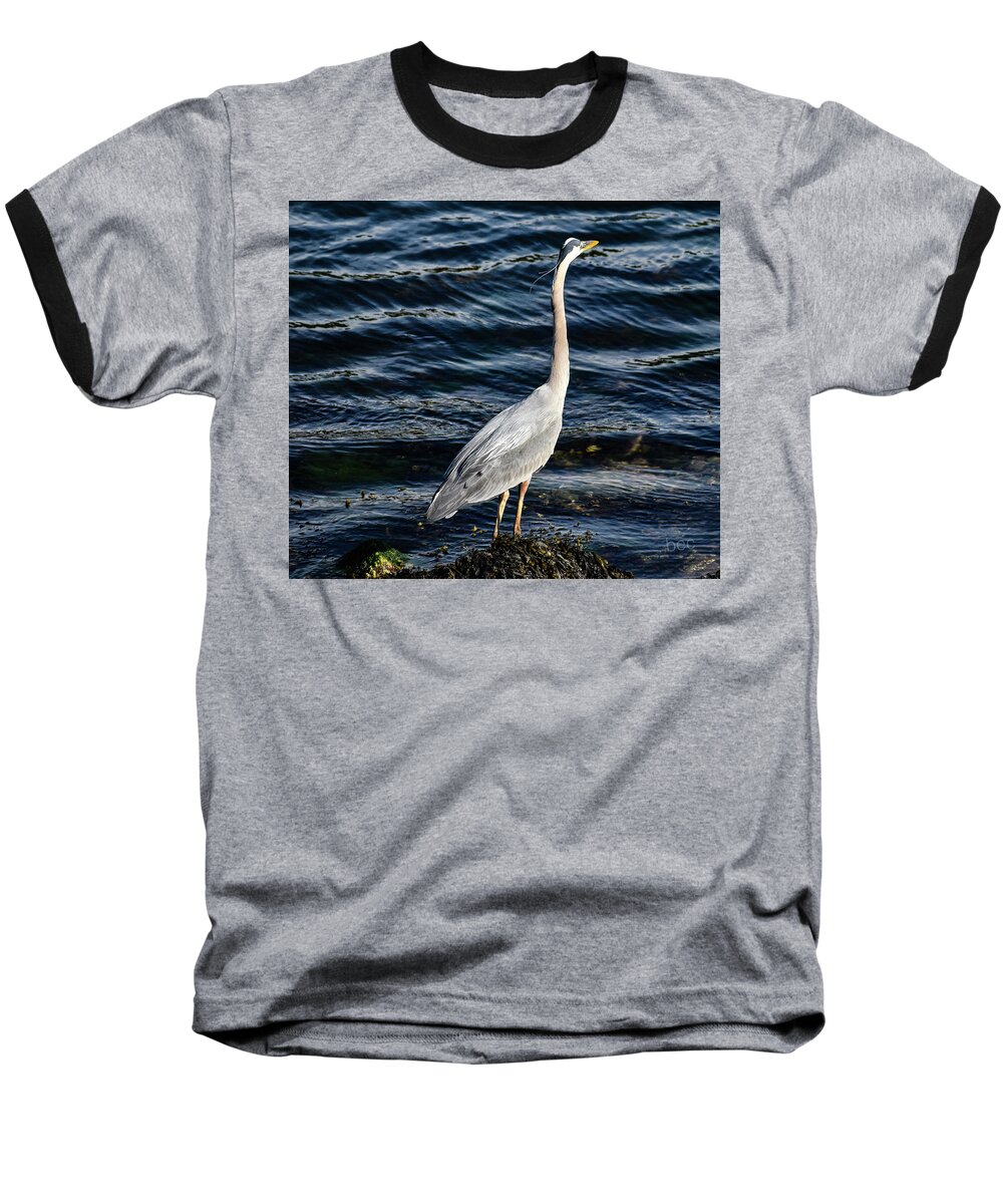 Heron Baseball T-Shirt featuring the photograph Great blue heron by Bruce Carpenter