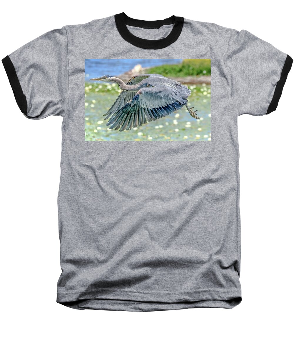 Blue Heron Baseball T-Shirt featuring the photograph Great Blue Heron by Jerry Cahill