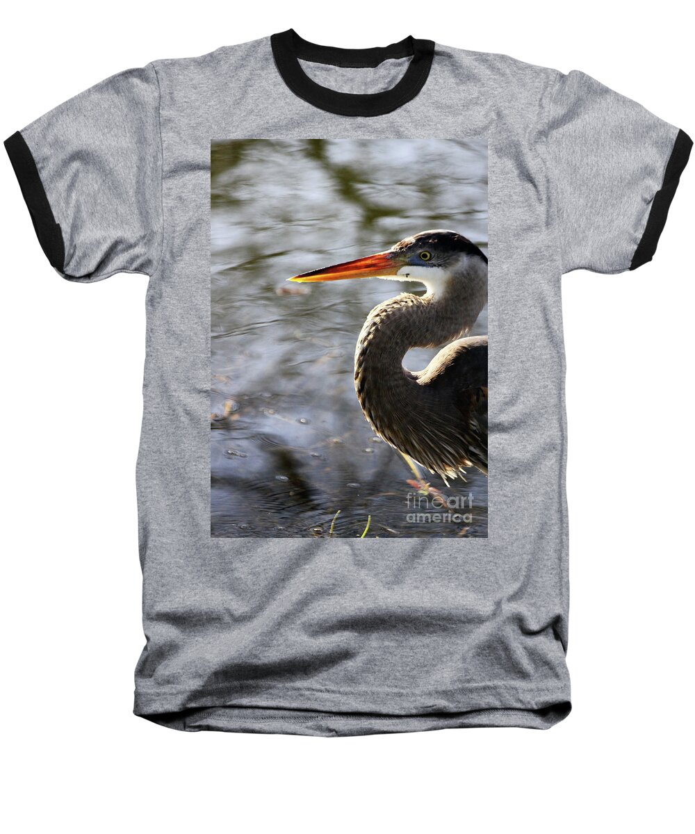 Great Baseball T-Shirt featuring the photograph Great Blue Heron by Philip And Robbie Bracco