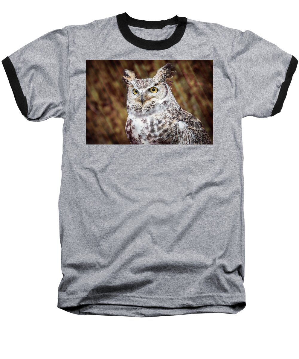 Owl Baseball T-Shirt featuring the photograph Great Horned Owl Portrait by Patti Deters