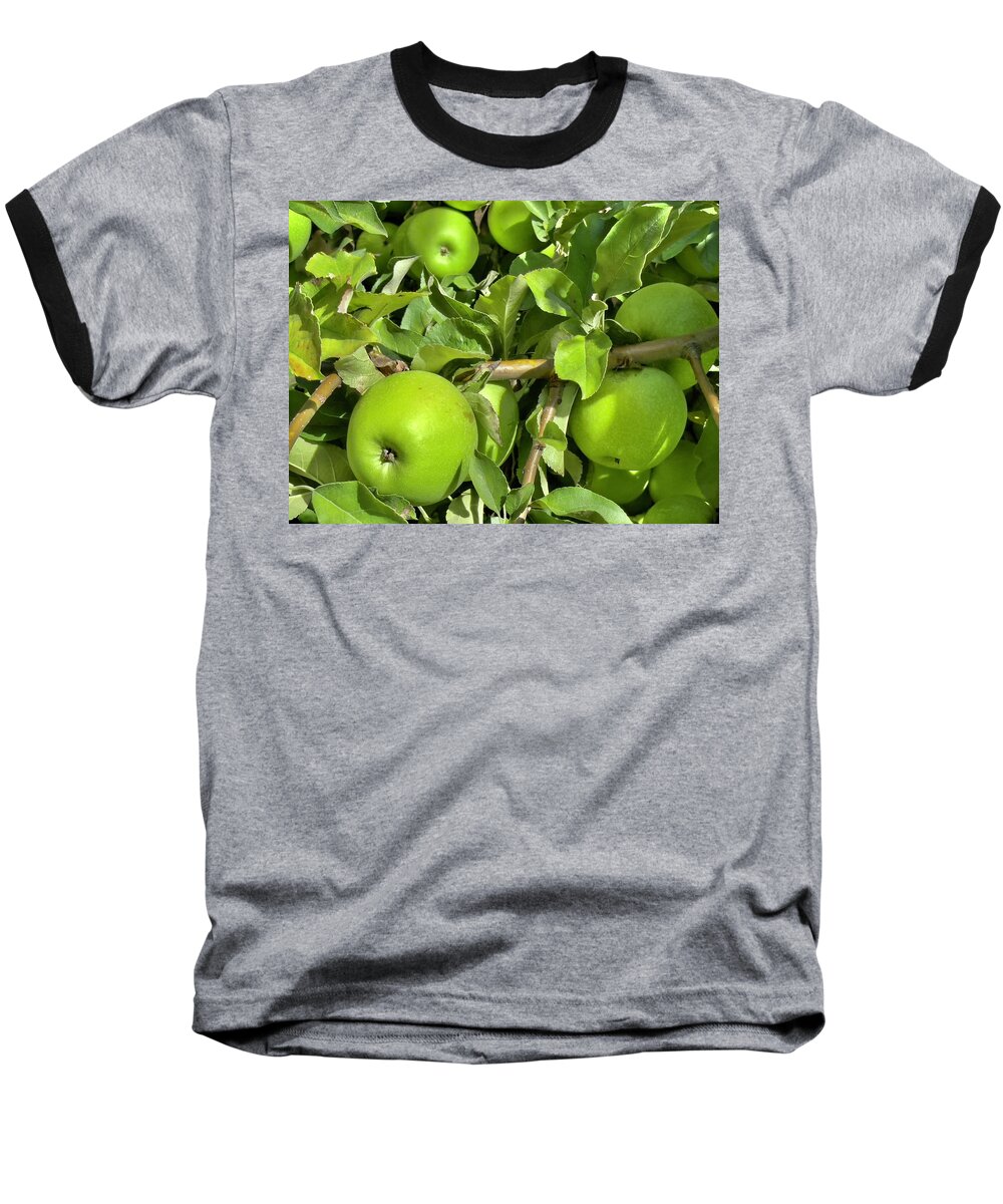 Fruit Baseball T-Shirt featuring the photograph Green Apples by Charles Kraus