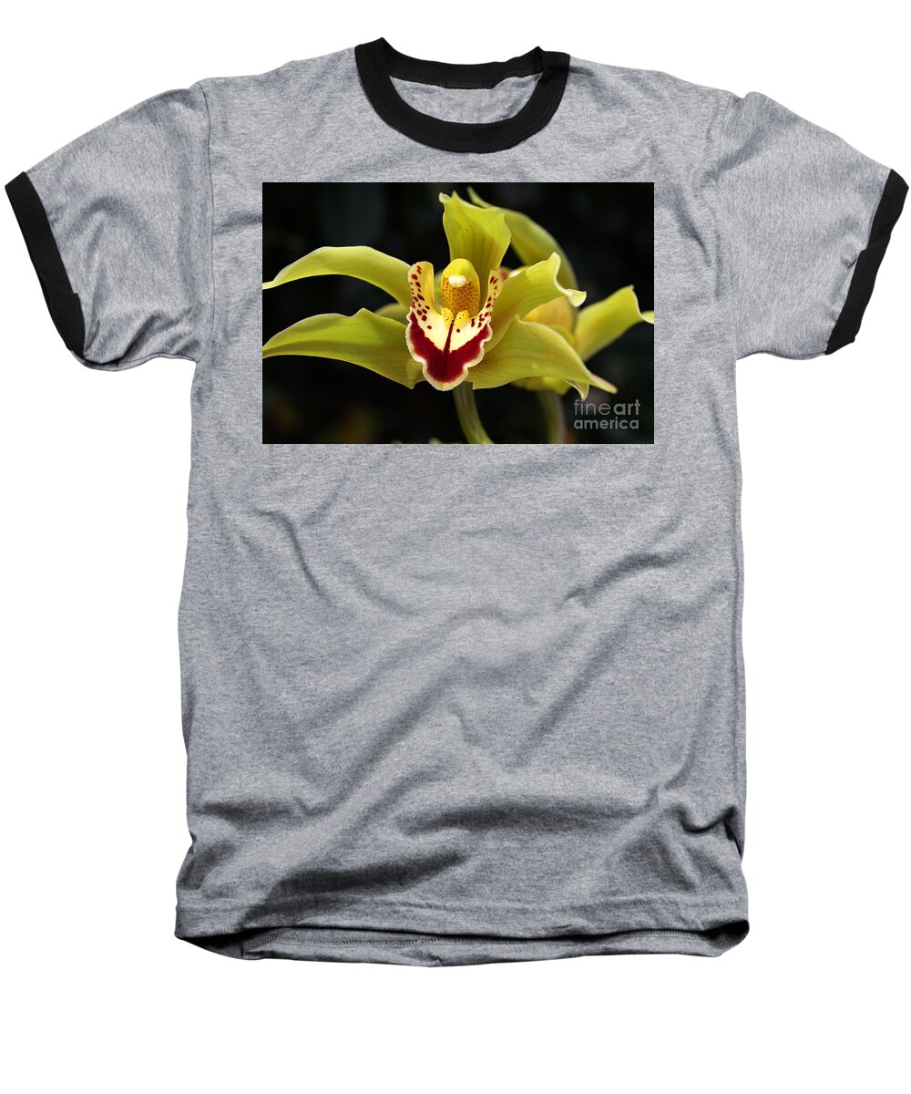 Asparagales Baseball T-Shirt featuring the photograph Green Orchid Flower by Joy Watson