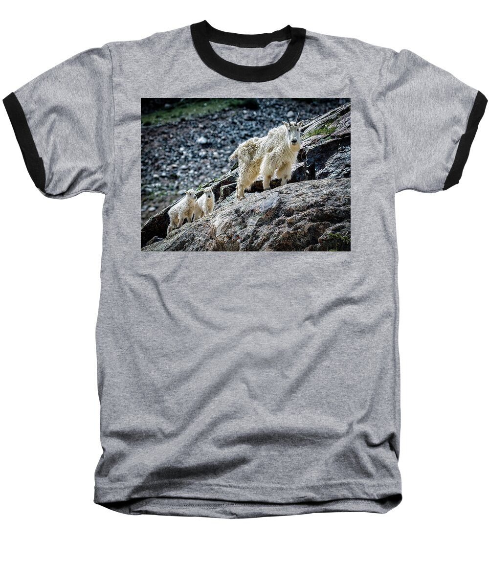 Mountain Goats Baseball T-Shirt featuring the photograph Hanging with Nanny by Bitter Buffalo Photography