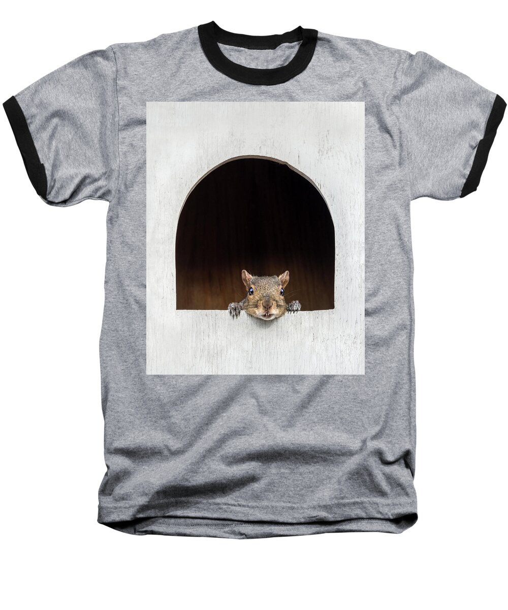 Squirrel Baseball T-Shirt featuring the photograph Have You Seen My Mother? by Carl Amoth