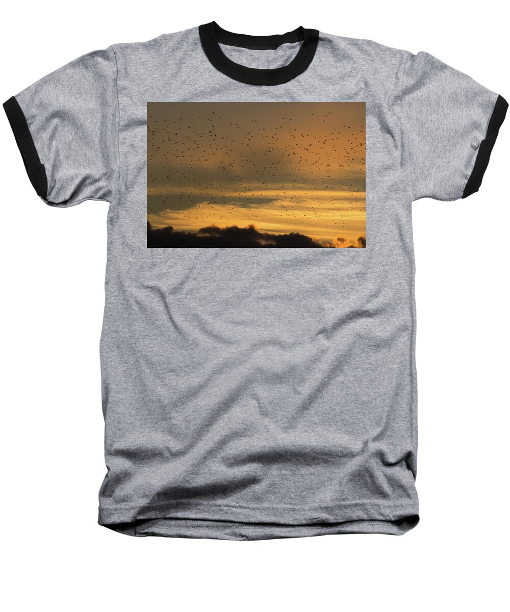 Flock Baseball T-Shirt featuring the photograph Heading West Starlings by Wendy Cooper