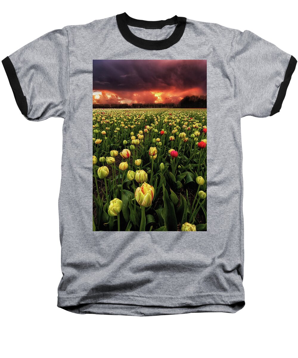 Landscape Baseball T-Shirt featuring the photograph Heavenly fields by Jorge Maia