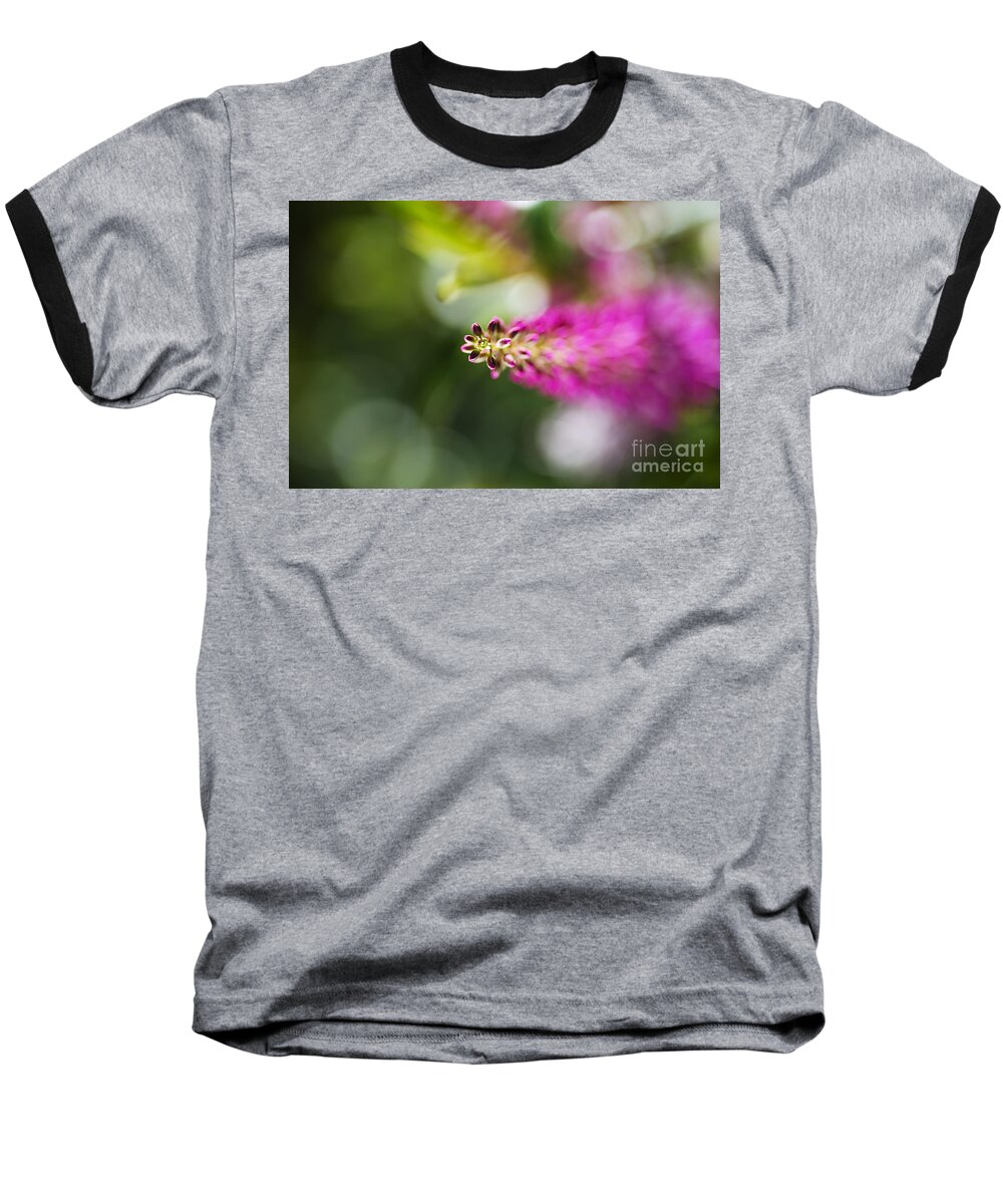 Hebe Painted Nature Baseball T-Shirt featuring the photograph Hebe Painted Nature by Joy Watson