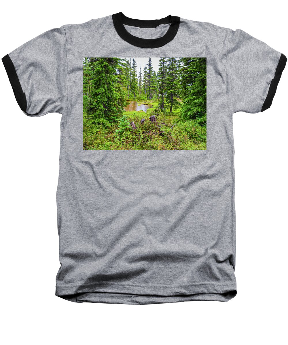 Landscapes Baseball T-Shirt featuring the photograph Hidden Pond by Claude Dalley