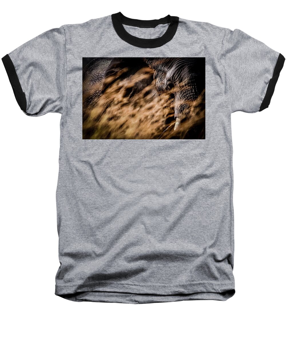Elephant Baseball T-Shirt featuring the photograph I See You by Alistair Lyne