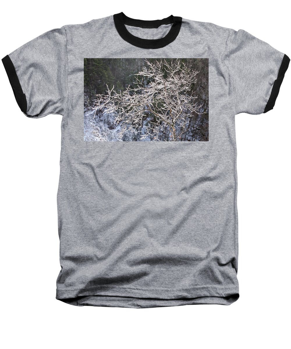 Waterfalls Baseball T-Shirt featuring the photograph Ice Tree Sentinel by Angelo Marcialis