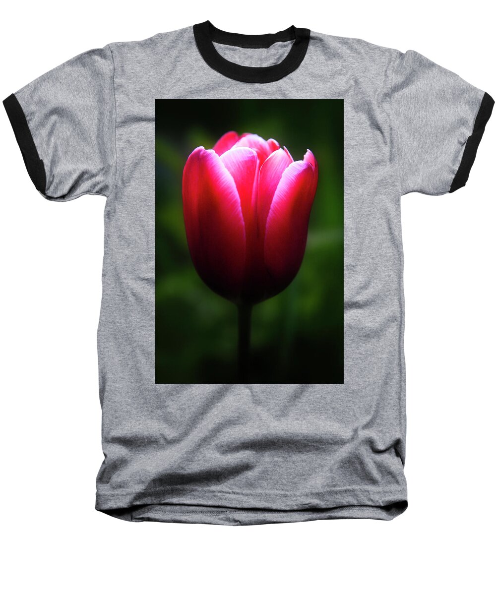 Tulip Baseball T-Shirt featuring the photograph Imperfect Perfection by Brian Gustafson