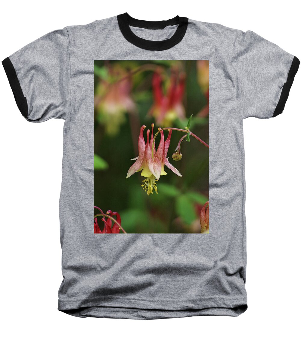 Flowers Baseball T-Shirt featuring the photograph Just hanging by Buddy Scott