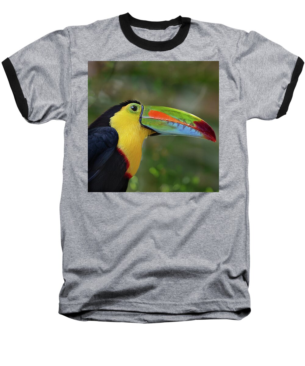 Nature Baseball T-Shirt featuring the photograph Keel-Billed Toucan Square Format by Teresa Wilson