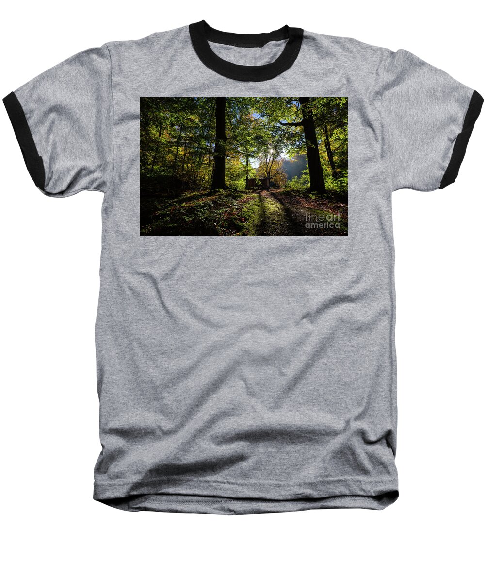 Forest Baseball T-Shirt featuring the photograph Late October by Eva Lechner