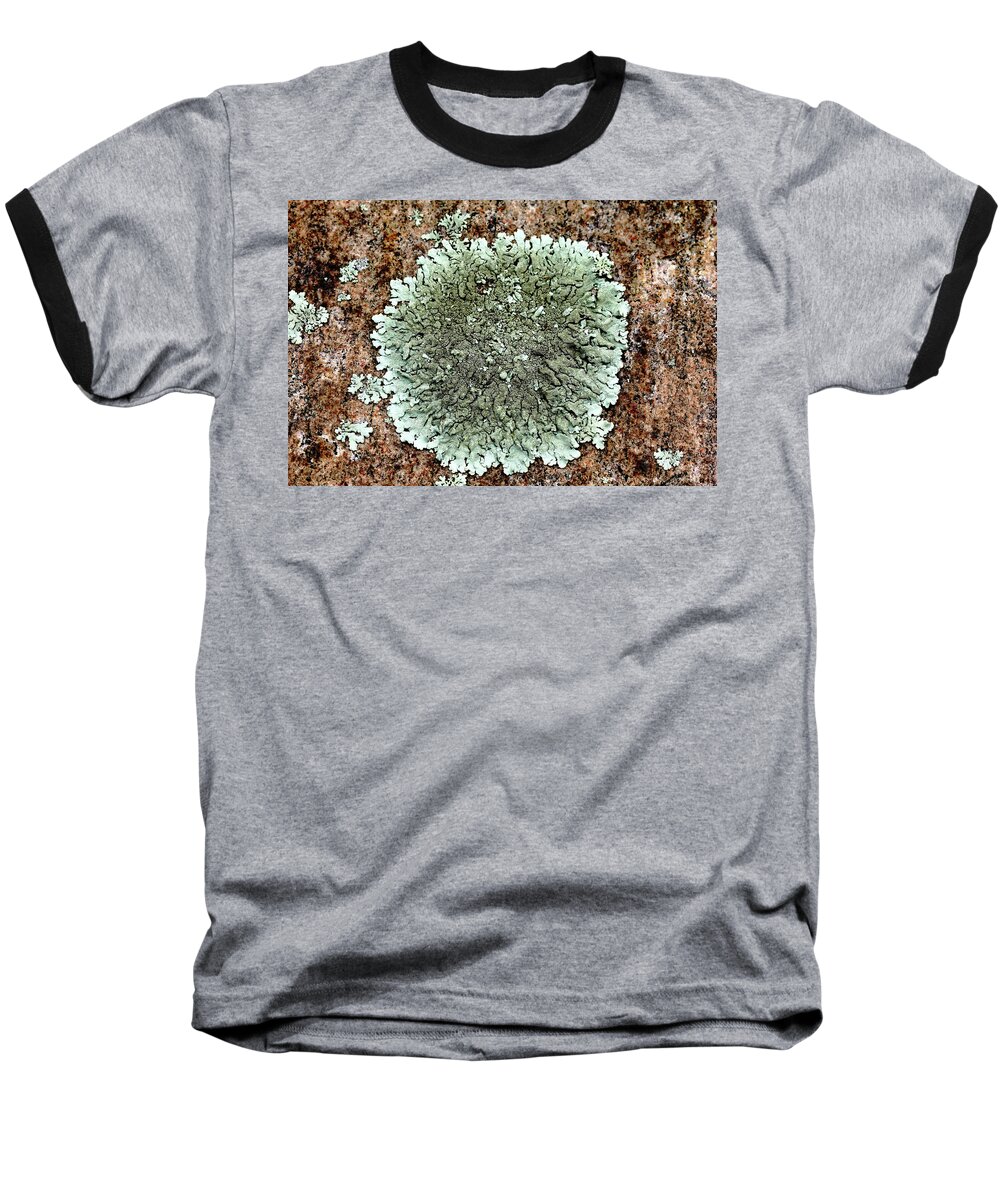 Abstract Baseball T-Shirt featuring the photograph Leafy Lichen by Debbie Oppermann