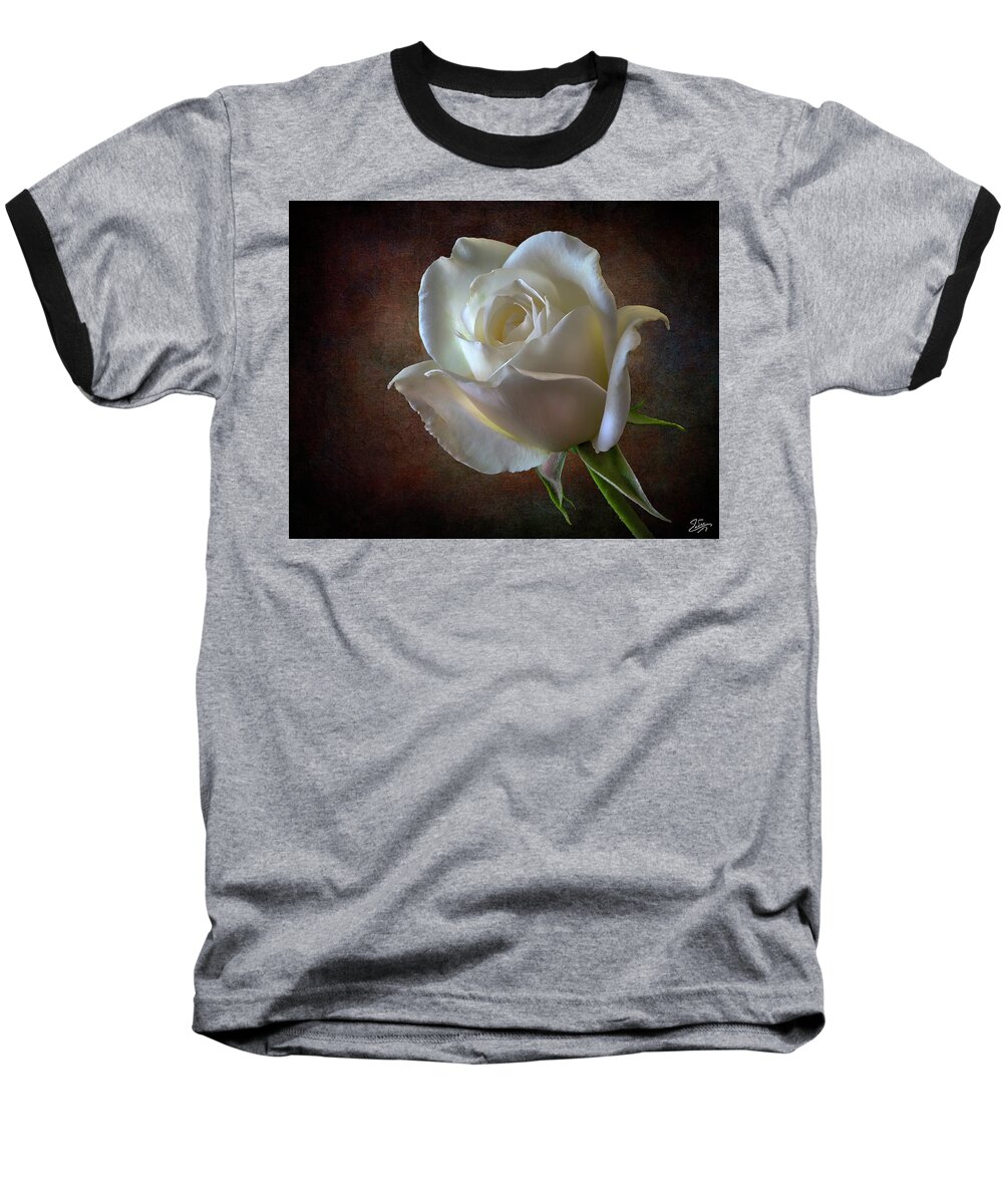White Rose Baseball T-Shirt featuring the photograph Little White Rose 2 by Endre Balogh