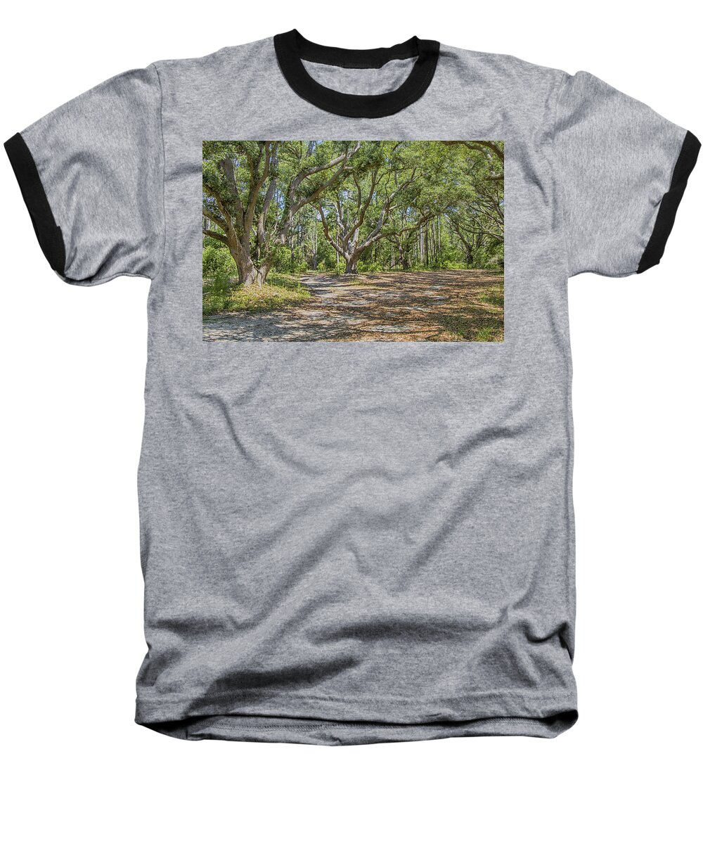 Live Oak Baseball T-Shirt featuring the photograph Live Oak Trees at Hammocks Beach by Bob Decker