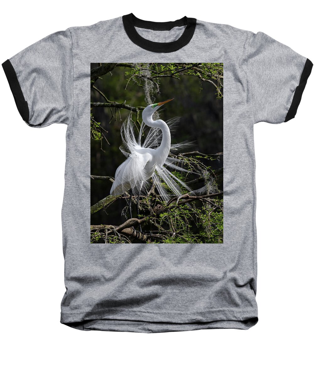 Great Egret Baseball T-Shirt featuring the photograph Lowcountry Angel - Great Egret by Carl Amoth