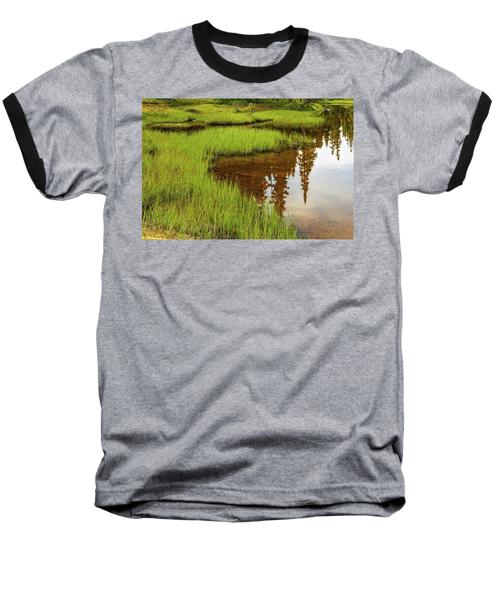 Landscapes Baseball T-Shirt featuring the photograph Mt. Washington, The Other Side - 1 by Claude Dalley