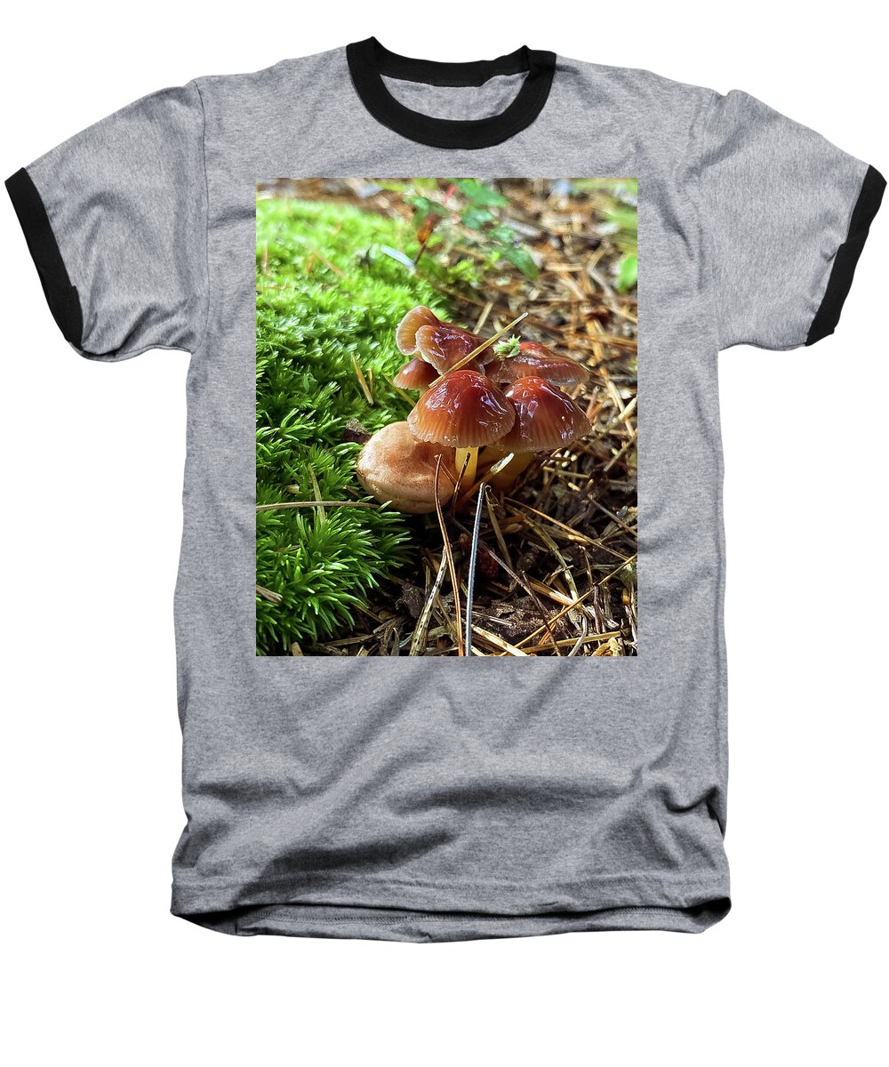 Mushrooms Baseball T-Shirt featuring the photograph Mushrooms by Jill Laudenslager