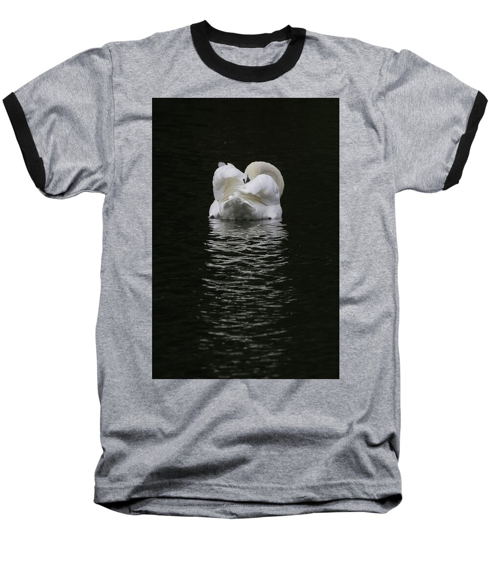 Flyladyphotographybywendycooper Baseball T-Shirt featuring the photograph Mute Swan by Wendy Cooper