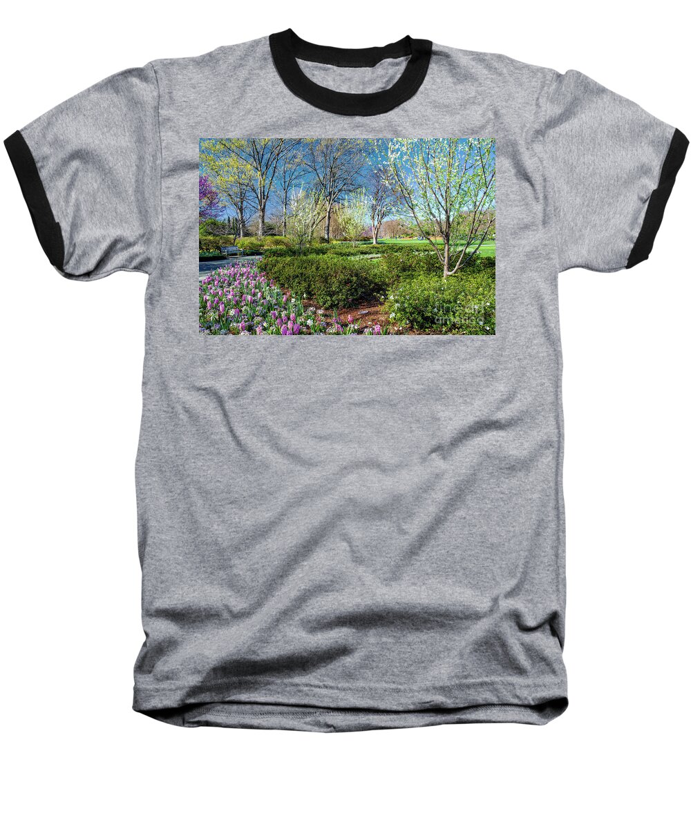 Diana Baseball T-Shirt featuring the photograph My Garden In Spring by Diana Mary Sharpton
